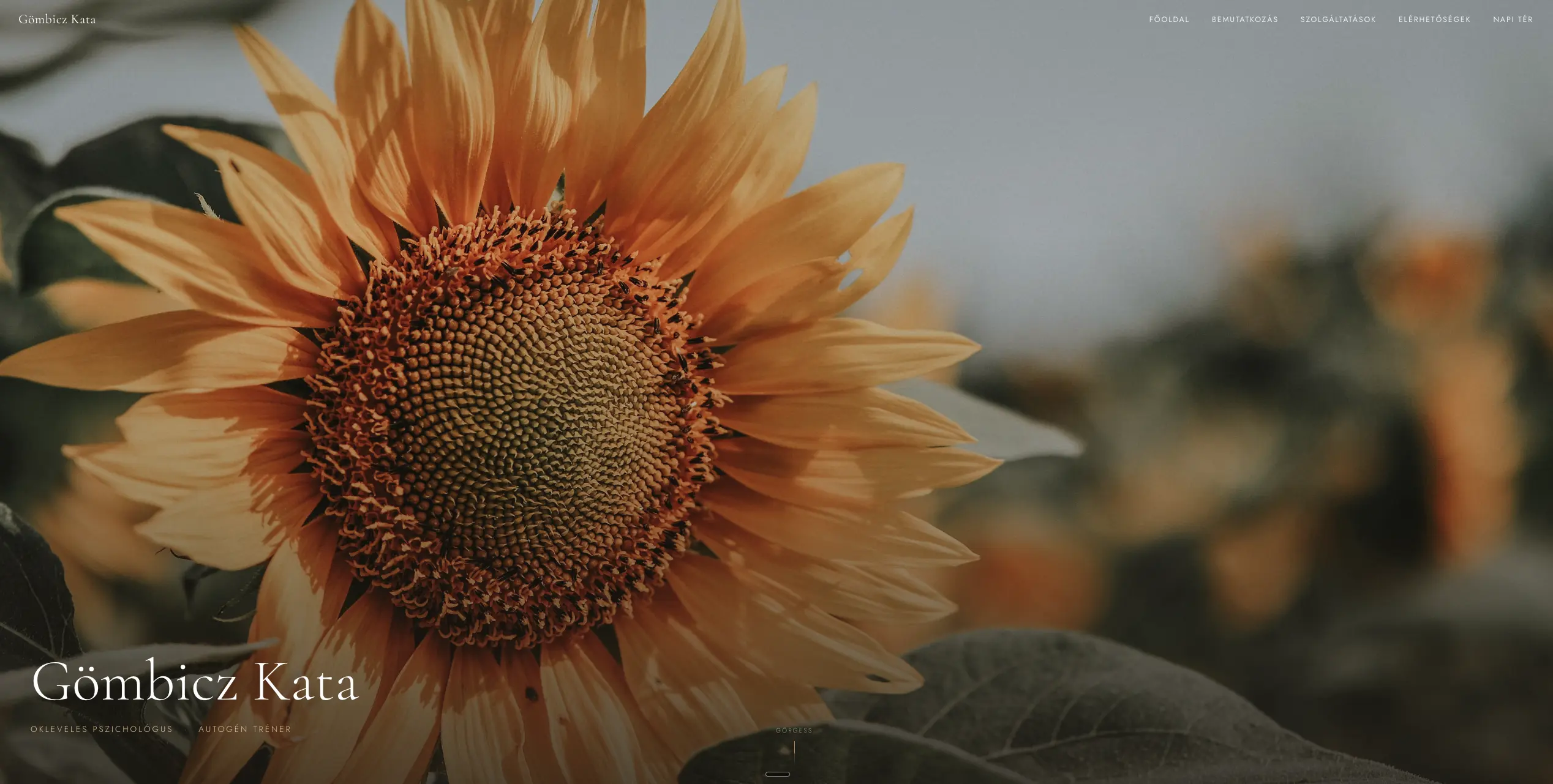 Gömbicz Kata – Pszichológus