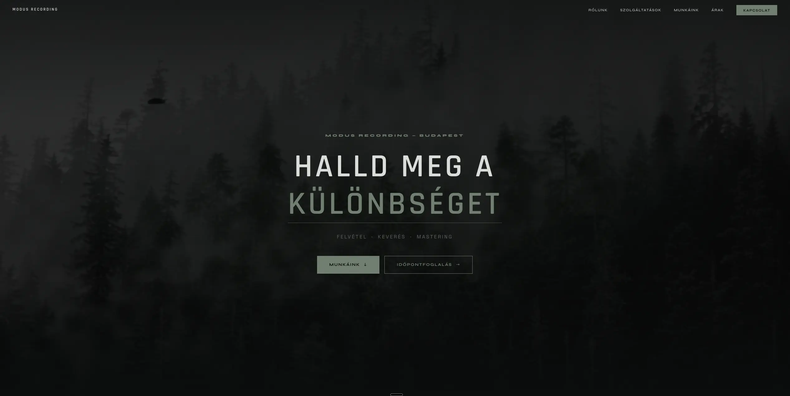 Vitányi Dávid – Hangstúdió